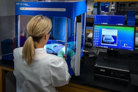 Bookkeeping, accounting and cash management support for biotech companies Bookkeeping, accounting and cash management support for biotech companies