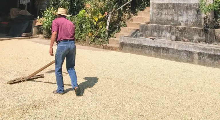 Farmers in the highlands of Guatemala