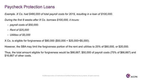 Paycheck Protection Loans p45