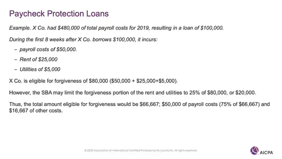 Paycheck Protection Loans p45