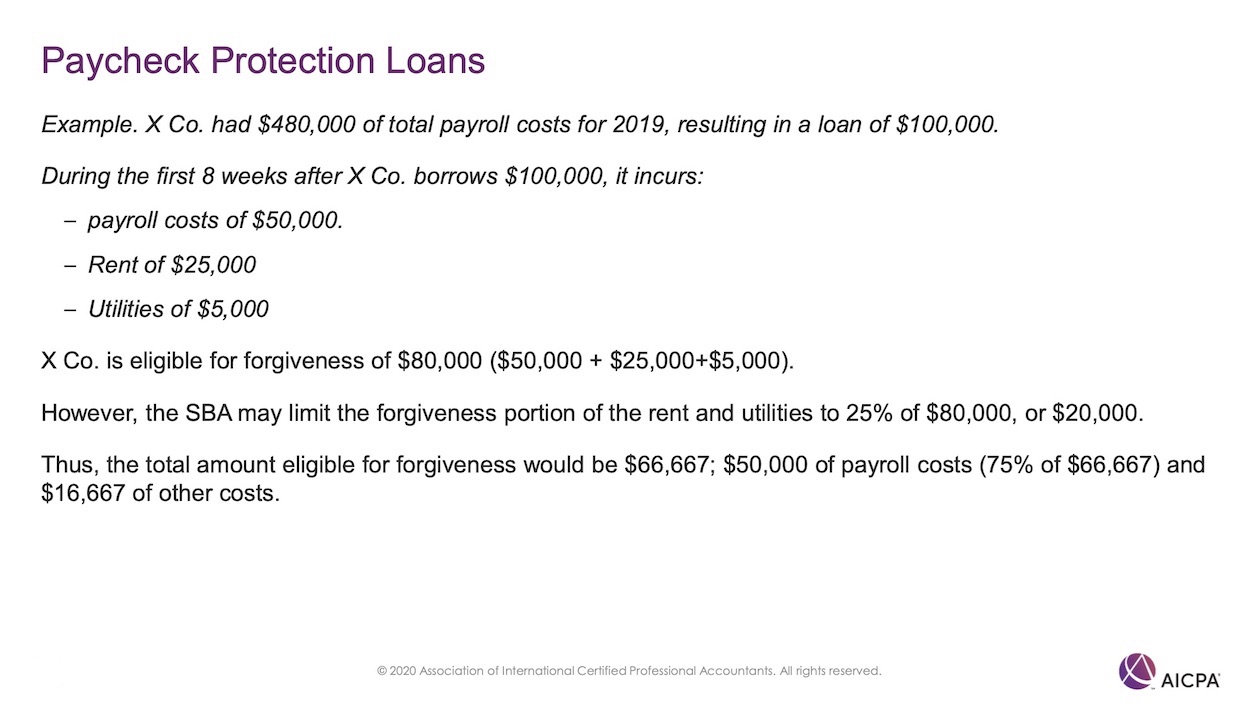 Paycheck Protection Loans p45