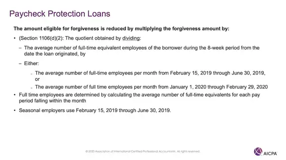 Paycheck Protection Loans p46