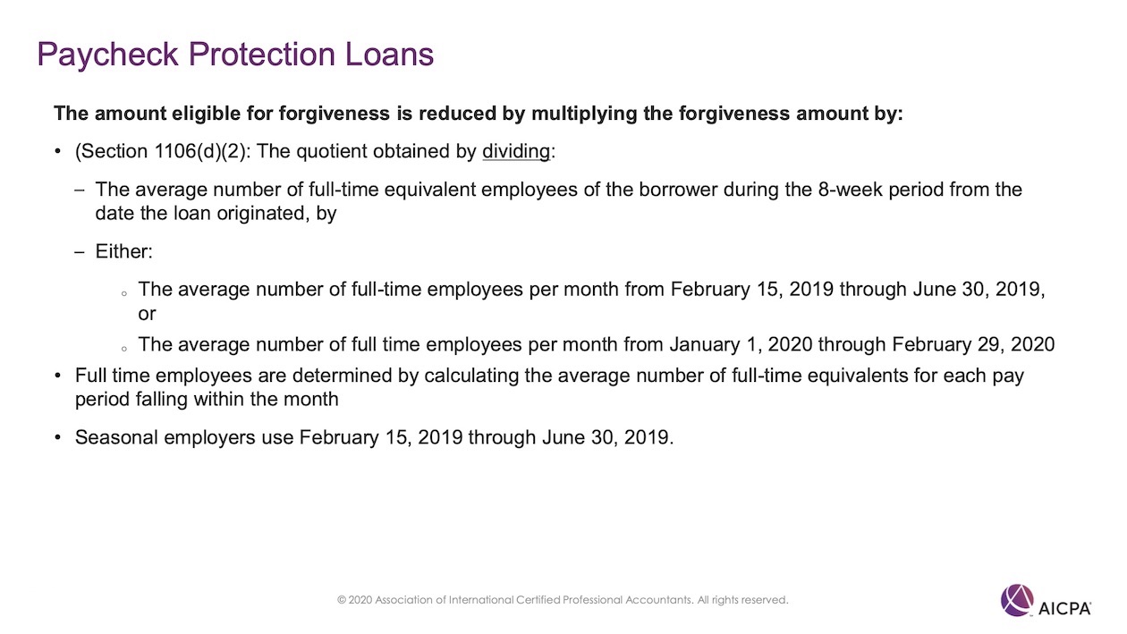 Paycheck Protection Loans p46