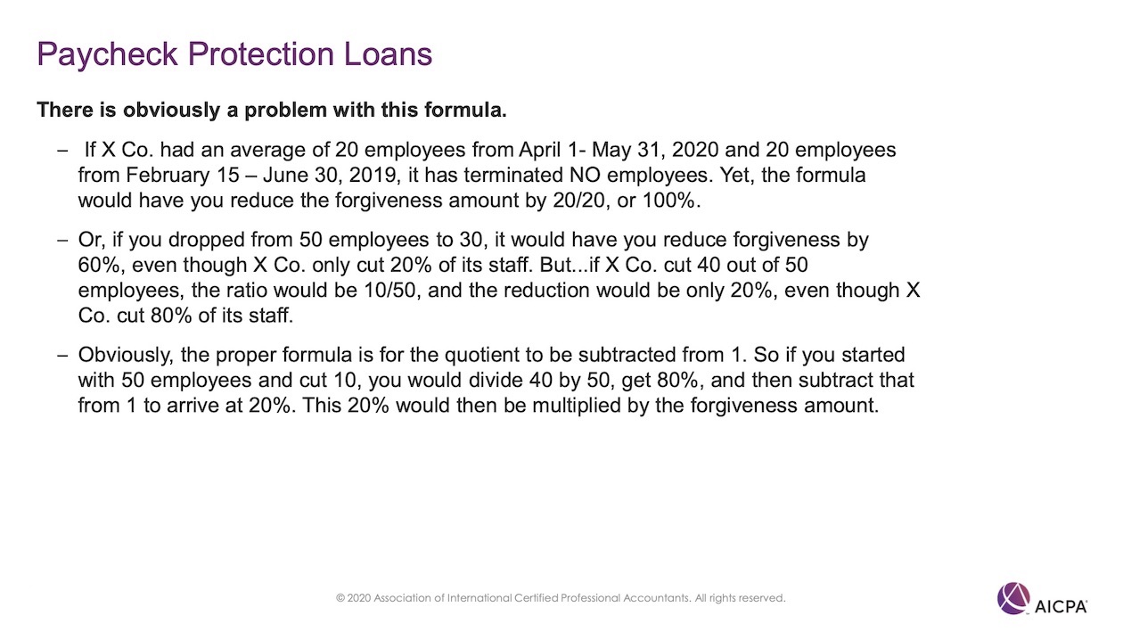 Paycheck Protection Loans p47