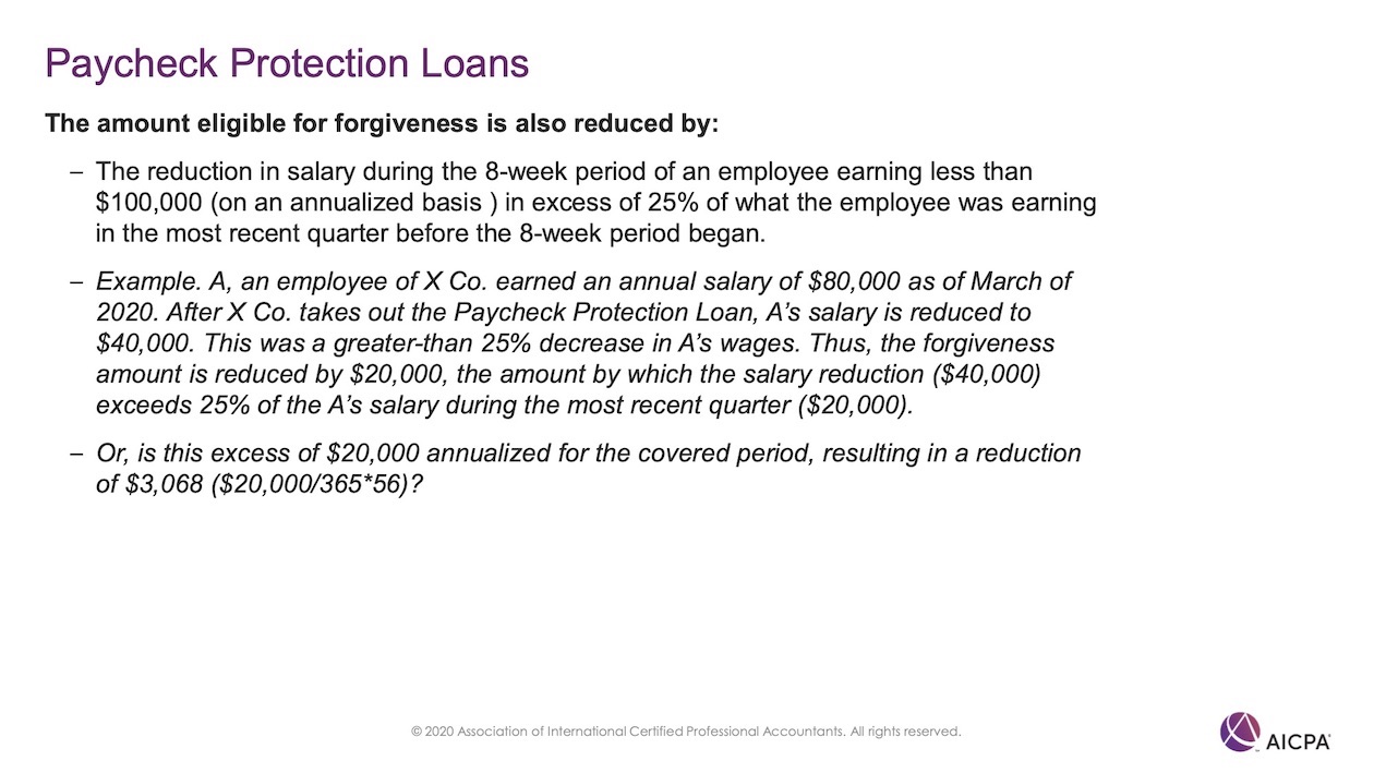 Paycheck Protection Loans p48