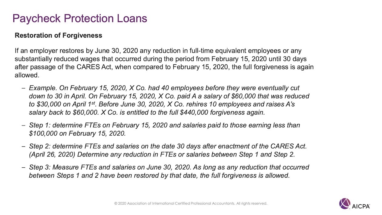 Paycheck Protection Loans p49