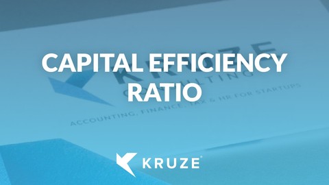 Capital Efficiency Ratio