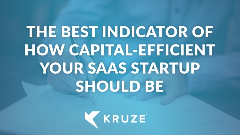 Best Indicators of Capital Efficiency
