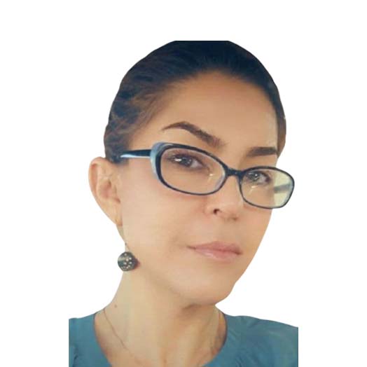 Leyla Rafiimanesh, Kruze Consulting Core Team